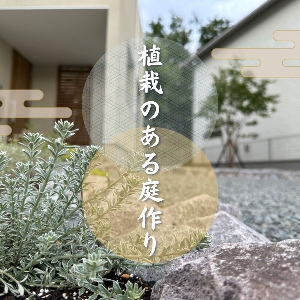 画像2047