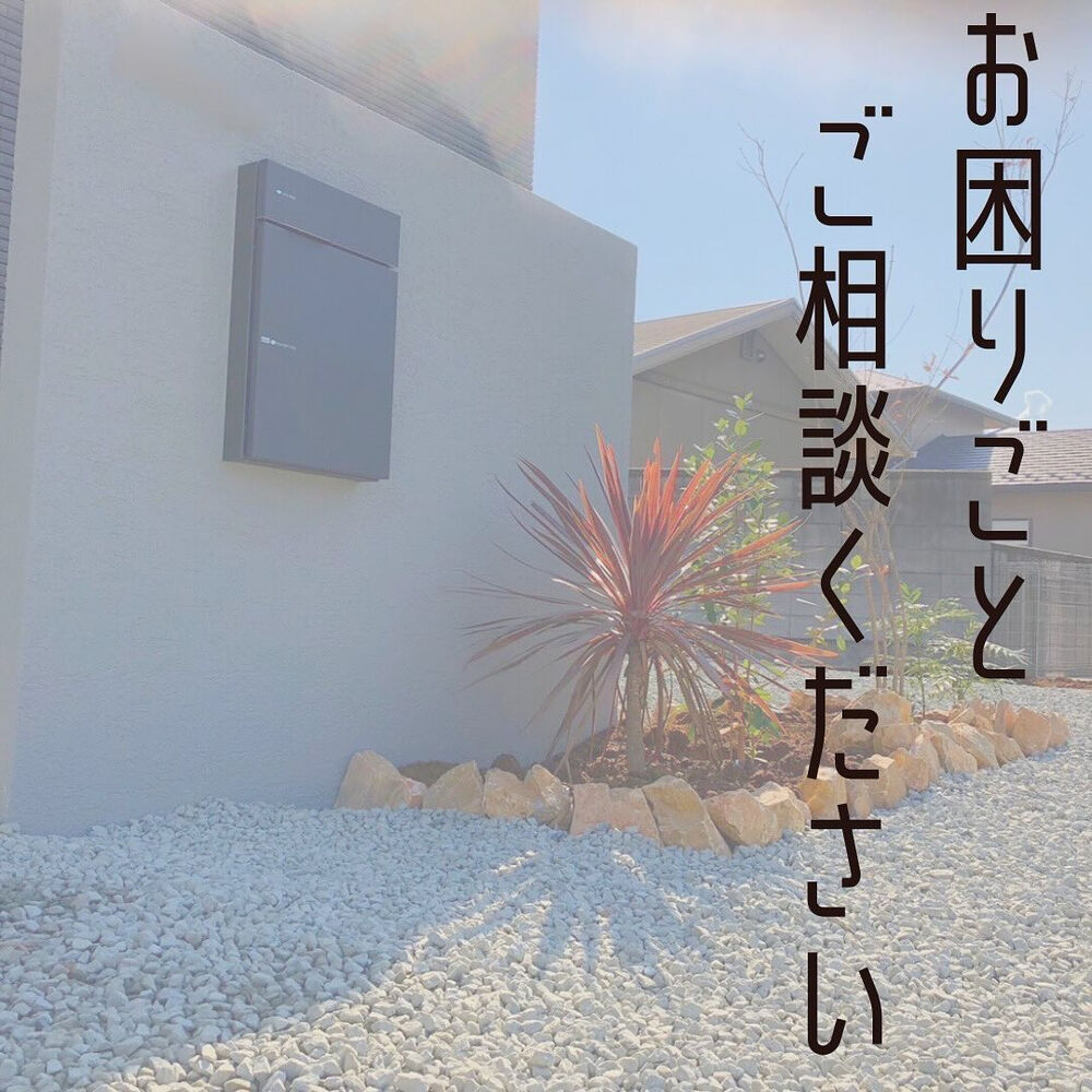 画像2098