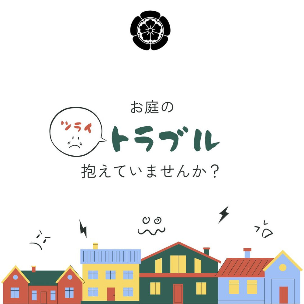 画像2213