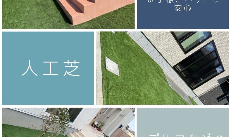 コラム