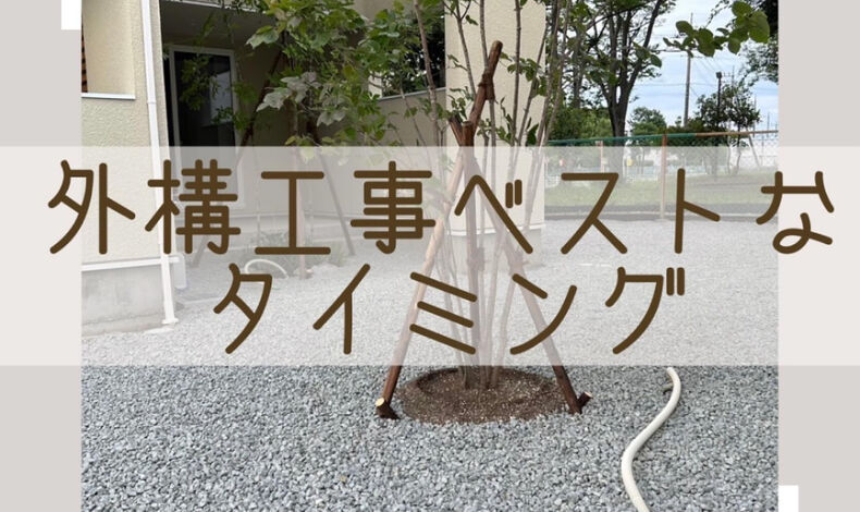 コラム
